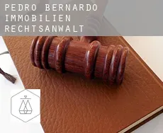 Pedro Bernardo immobilien rechtsanwalt