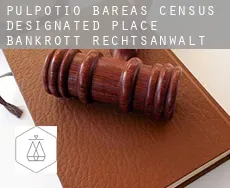 Pulpotio Bareas bankrott rechtsanwalt