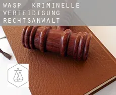 Wasp  kriminelle verteidigung rechtsanwalt