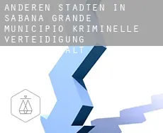 Anderen Städten in Sabana Grande Municipio  kriminelle verteidigung rechtsanwalt