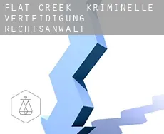 Flat Creek kriminelle verteidigung rechtsanwalt