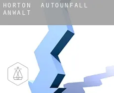 Horton  Autounfall Anwalt