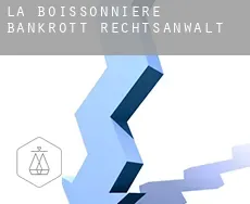 La Boissonnière  bankrott rechtsanwalt