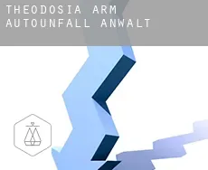 Theodosia Arm  Autounfall Anwalt