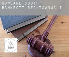 Gowlane South  bankrott rechtsanwalt
