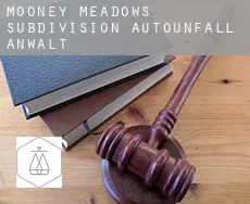 Mooney Meadows Subdivision  Autounfall Anwalt