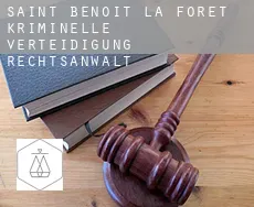 Saint-Benoît-la-Forêt  kriminelle verteidigung rechtsanwalt