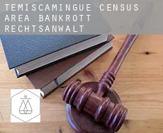 Témiscamingue (census area)  bankrott rechtsanwalt