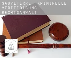 Sauveterre  kriminelle verteidigung rechtsanwalt