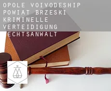 Powiat brzeski (Opole Voivodeship)  kriminelle verteidigung rechtsanwalt