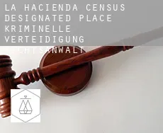 La Hacienda  kriminelle verteidigung rechtsanwalt