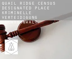 Quail Ridge  kriminelle verteidigung rechtsanwalt