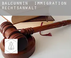 Balcunnin  immigration rechtsanwalt