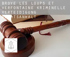 Broye-les-Loups-et-Verfontaine kriminelle verteidigung rechtsanwalt
