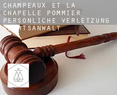 Champeaux-et-la-Chapelle-Pommier  persönliche verletzung rechtsanwalt