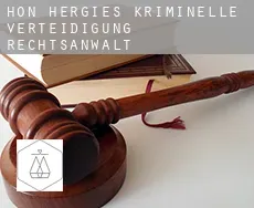 Hon-Hergies  kriminelle verteidigung rechtsanwalt