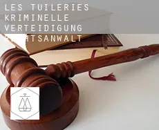 Les Tuileries  kriminelle verteidigung rechtsanwalt