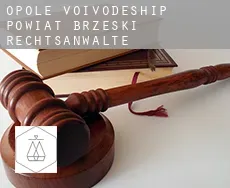 Powiat brzeski (Opole Voivodeship) rechtsanwälte