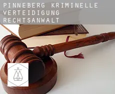 Pinneberg District kriminelle verteidigung rechtsanwalt