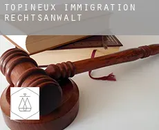 Topineux  immigration rechtsanwalt