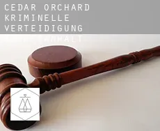Cedar Orchard  kriminelle verteidigung rechtsanwalt