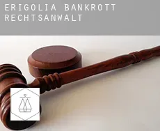 Erigolia  bankrott rechtsanwalt