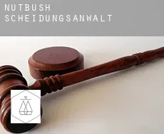 Nutbush Scheidungsanwalt