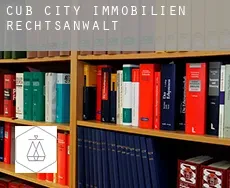 Cub City  immobilien rechtsanwalt