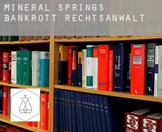Mineral Springs  bankrott rechtsanwalt