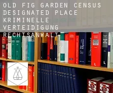Old Fig Garden  kriminelle verteidigung rechtsanwalt