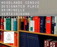 Woodlands  kriminelle verteidigung rechtsanwalt