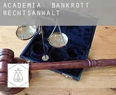 Academia  bankrott rechtsanwalt
