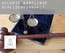 Kolonie Bartlinge  Scheidungsanwalt