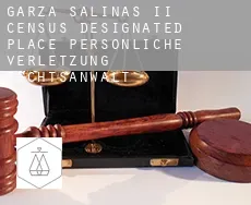 Garza-Salinas II persönliche verletzung rechtsanwalt