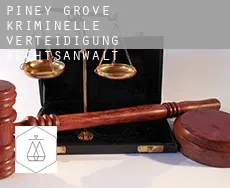 Piney Grove  kriminelle verteidigung rechtsanwalt