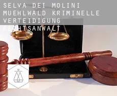 Mühlwald kriminelle verteidigung rechtsanwalt