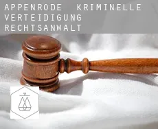 Appenrode kriminelle verteidigung rechtsanwalt