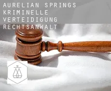 Aurelian Springs  kriminelle verteidigung rechtsanwalt