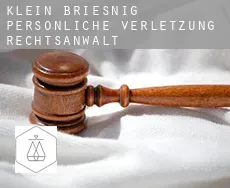 Klein Briesnig  persönliche verletzung rechtsanwalt