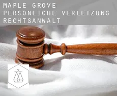 Maple Grove persönliche verletzung rechtsanwalt