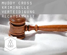 Muddy Cross kriminelle verteidigung rechtsanwalt