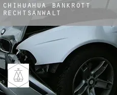 Chihuahua  bankrott rechtsanwalt