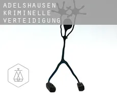 Adelshausen  kriminelle verteidigung rechtsanwalt