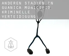 Anderen Städten in Guanica Municipio  kriminelle verteidigung rechtsanwalt