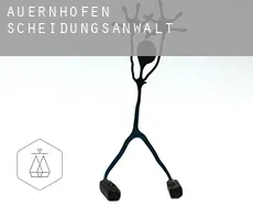 Auernhofen  Scheidungsanwalt