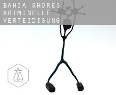 Bahia Shores kriminelle verteidigung rechtsanwalt