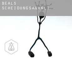 Beals  Scheidungsanwalt