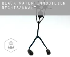 Black Water  immobilien rechtsanwalt
