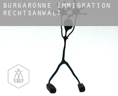 Burgaronne  immigration rechtsanwalt