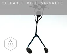Caldwood rechtsanwälte